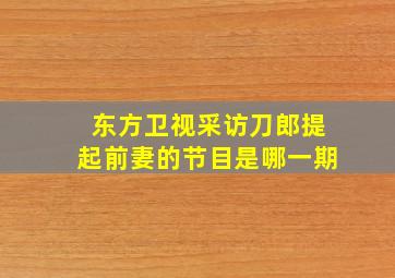 东方卫视采访刀郎提起前妻的节目是哪一期