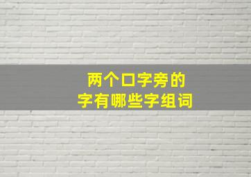 两个口字旁的字有哪些字组词