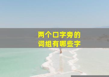 两个口字旁的词组有哪些字