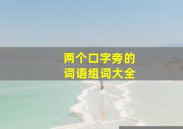 两个口字旁的词语组词大全