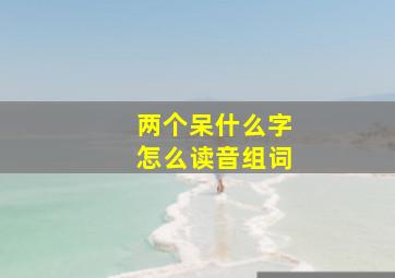 两个呆什么字怎么读音组词