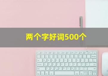 两个字好词500个