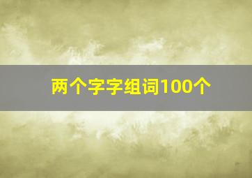 两个字字组词100个