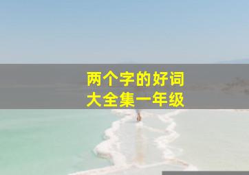 两个字的好词大全集一年级