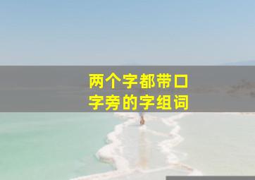 两个字都带口字旁的字组词