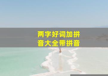 两字好词加拼音大全带拼音