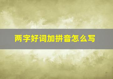 两字好词加拼音怎么写