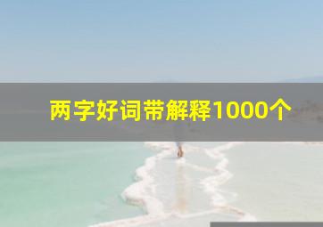 两字好词带解释1000个