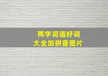 两字词语好词大全加拼音图片