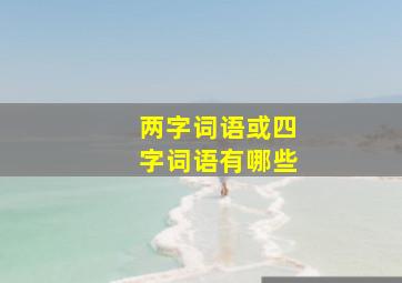 两字词语或四字词语有哪些