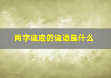 两字谜底的谜语是什么