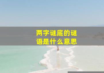 两字谜底的谜语是什么意思