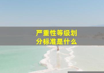 严重性等级划分标准是什么