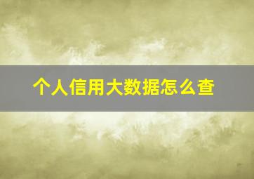 个人信用大数据怎么查