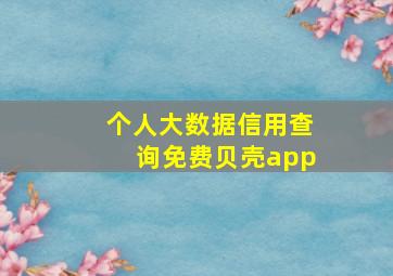 个人大数据信用查询免费贝壳app