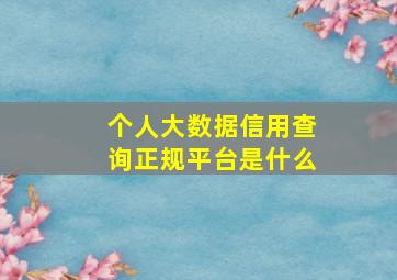 个人大数据信用查询正规平台是什么