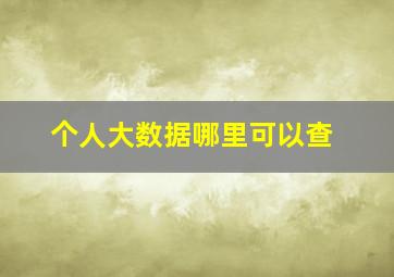 个人大数据哪里可以查