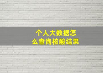 个人大数据怎么查询核酸结果