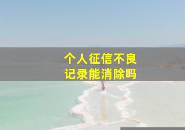 个人征信不良记录能消除吗