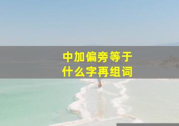 中加偏旁等于什么字再组词