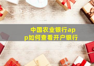 中国农业银行app如何查看开户银行