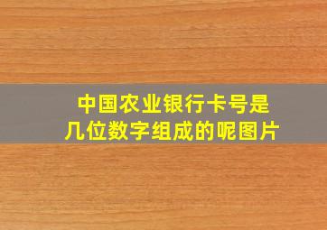 中国农业银行卡号是几位数字组成的呢图片