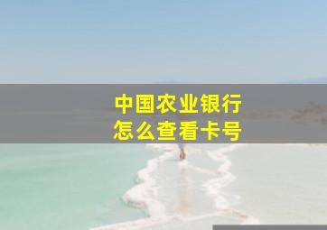 中国农业银行怎么查看卡号