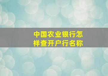 中国农业银行怎样查开户行名称