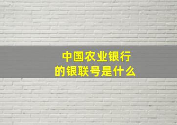 中国农业银行的银联号是什么