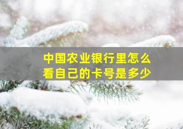 中国农业银行里怎么看自己的卡号是多少