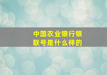 中国农业银行银联号是什么样的