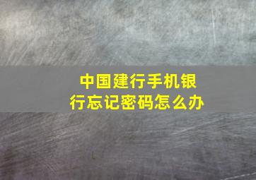 中国建行手机银行忘记密码怎么办