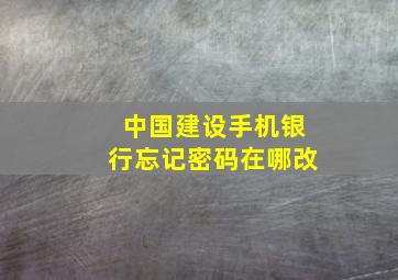 中国建设手机银行忘记密码在哪改