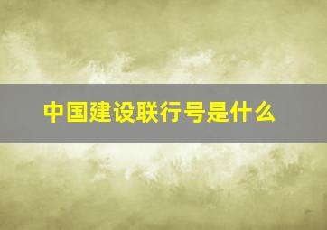 中国建设联行号是什么