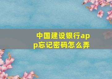 中国建设银行app忘记密码怎么弄