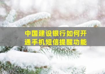 中国建设银行如何开通手机短信提醒功能