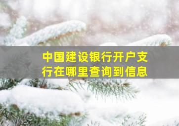 中国建设银行开户支行在哪里查询到信息