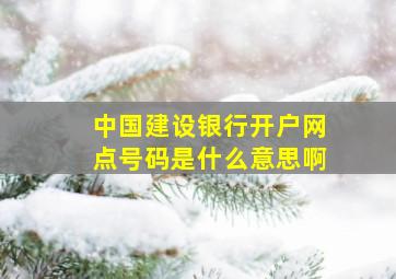 中国建设银行开户网点号码是什么意思啊