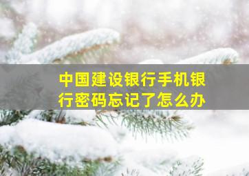 中国建设银行手机银行密码忘记了怎么办