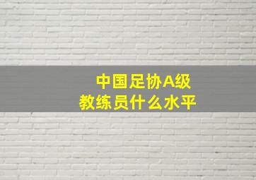 中国足协A级教练员什么水平