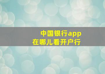 中国银行app在哪儿看开户行