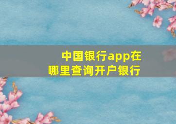 中国银行app在哪里查询开户银行