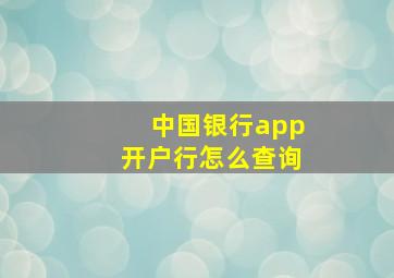 中国银行app开户行怎么查询