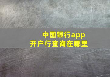 中国银行app开户行查询在哪里