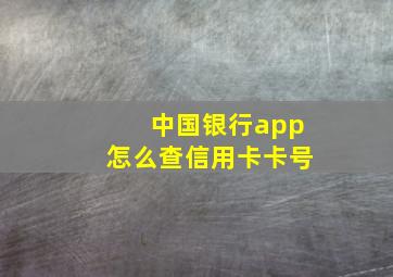 中国银行app怎么查信用卡卡号