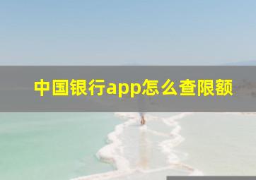 中国银行app怎么查限额