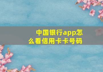 中国银行app怎么看信用卡卡号码