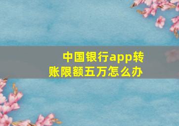 中国银行app转账限额五万怎么办