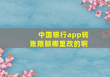 中国银行app转账限额哪里改的啊