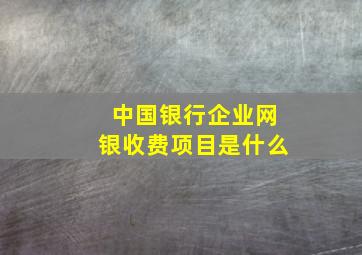 中国银行企业网银收费项目是什么